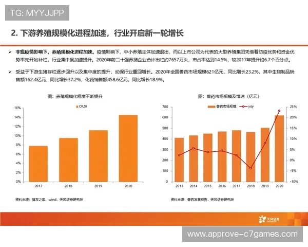 精准分析未来足球赛事走势,提升胜率的实用预测策略 精准分析未来足球赛事走势,提升胜率的实用预测策略